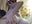 Riding Dildo Baby! - AsianEmpresss 的视频