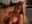If u wanna see me topless - video by LanaWyatt cam model