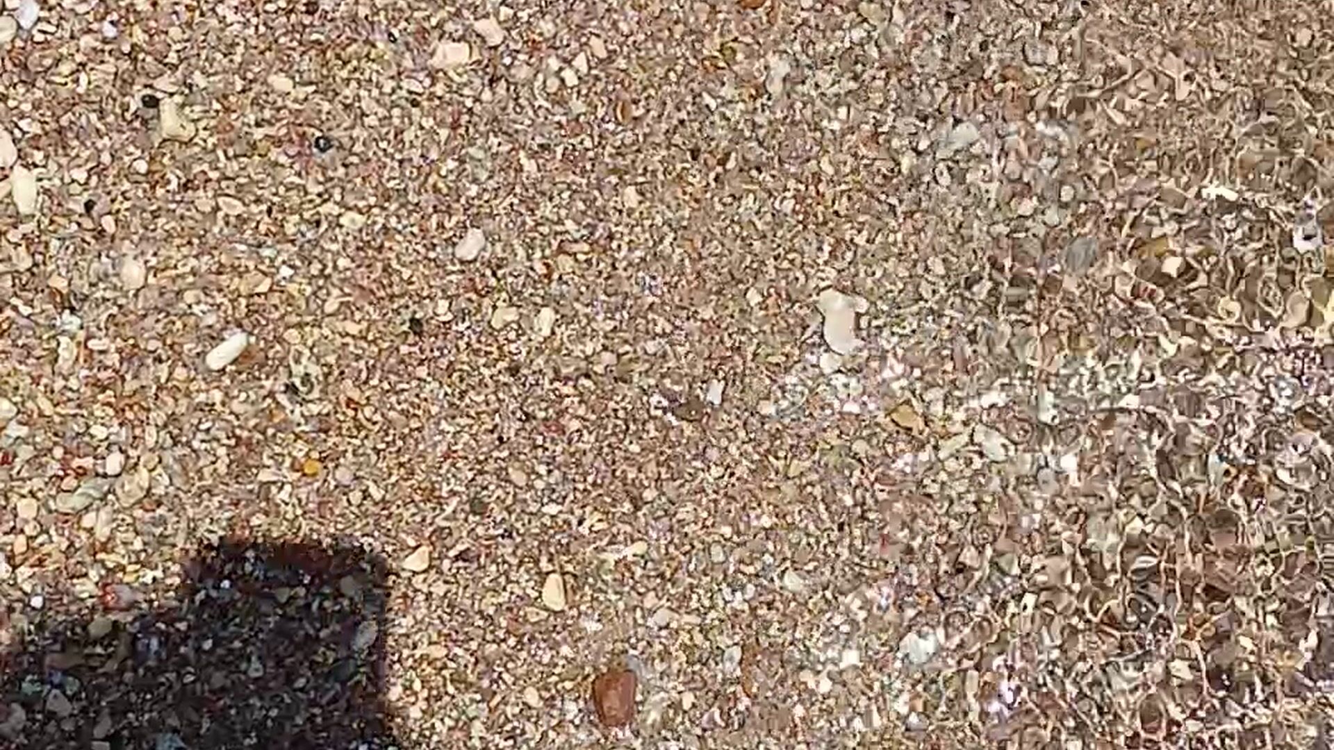 Sexy red pedicure in the sea and on the sand 👠