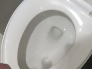 Public Toilet