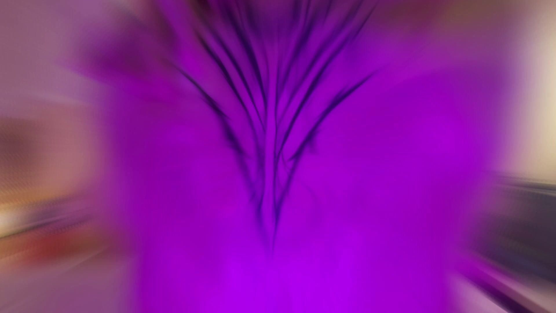 Vinnie_Hacker's XXX Videos & Recorded Live Shows | xHamsterLive