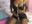 latex - video by PAMELA_78 cam model