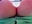my boobs are trying to jump out - video by 77Sambuca77 cam model