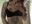 Stand up and suck nipple - video by aminaswan_ cam model