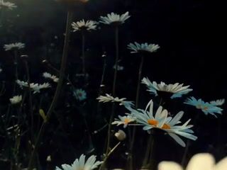 the last days of summer