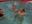 Fun in pool with Rita and Alex!!) - video by pinkstar_ cam model