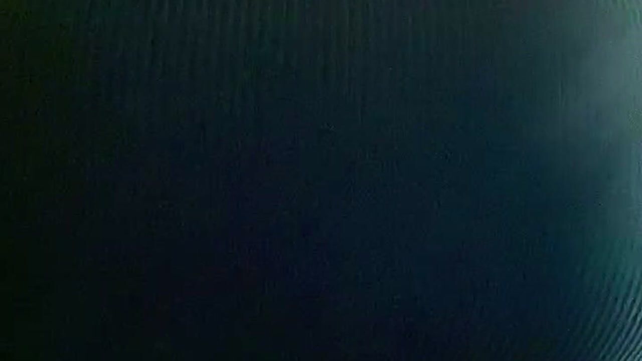 MollyFlowers Webcam Model Profile xHamsterLive