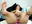cum sshoww