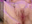 Close up. Pussy