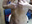 my body - Vídeo de Kendra_Mom