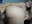 Anal play