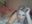 1st pvt on site masturbation no toys - video by LittleMissEeve cam model