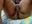 [21 Dec 15:49] Private Show — filmik XXX MilfPleasure