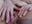 pussy close up