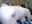 [26 Jan 14:10] Private Show - video by Siberia-Taiga cam model